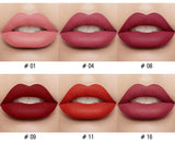 SACE LADY 12 Colors Lips