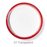 SACE LADY Matte Loose Powder Makeup